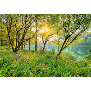 Фотообои бумажные Komar Spring Lake (Весеннее озеро NG) 368х254 см (8-524) лучшая модель в Ужгороде