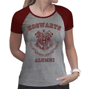 Футболка ABYstyle Harry Potter XL Сіра (ABYTEX503XL) ТОП в Ужгороді