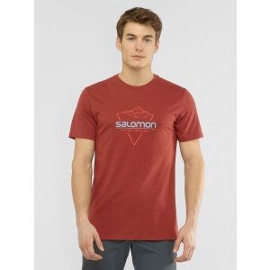 Футболка Salomon Blend Logo Tee M LC1408500 S Коричнева (0193128345792) в Ужгороді