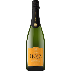 Вино игристое Hoya de Cadenas Cava Brut Nature белое брют 0.75 л 11.5% (8410310605994) лучшая модель в Ужгороде