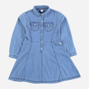 Сукня джинсова з довгими рукавами Piazza Italia 70029 172 см Denim (2070029001089) ТОП в Ужгороді