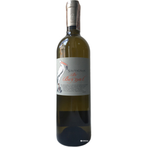 Вино Chateau Beynat Savignon Beynat 2016 біле сухе 0.75 л 12.5% ​​(3760196150176)