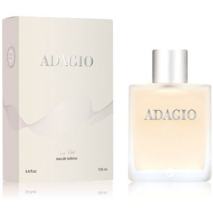 Туалетная вода для мужчин Dilis Parfum La Vie Adagio 100 мл (4810212009434)