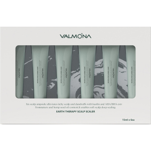 Сироватка для шкіри голови, що очищає Valmona Earth Therapy Scalp Scaler 15 мл x 6 шт (8802929006154)