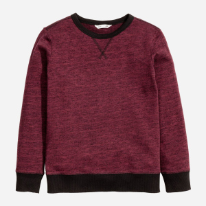 хороша модель Світшот H&M HOM91085 134-140 см Бордовий (Er_2000000324364)