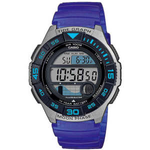 Мужские часы CASIO WS-1100H-2AVEF