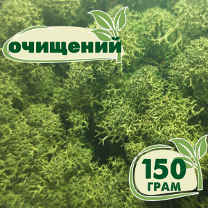 Очищений мох стабілізований ягель Nordic moss Зелений темний 150 грам ТОП в Ужгороді