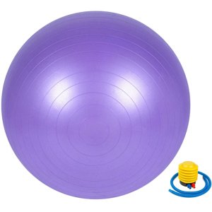 М'яч для фітнесу Newt 65 см Фіолетовий (487-626-1-V) в Ужгороді