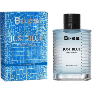 хорошая модель Туалетная вода для мужчин Bi-es Just Blue Men Versace - Eau de Fraiche 100 мл (5902734841902)