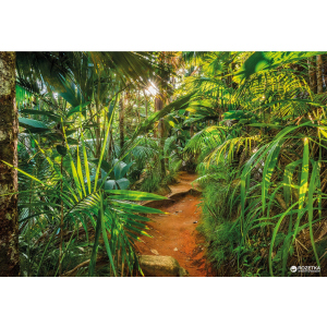 Фотообои бумажные Komar Jungle Trail 368х254 см 8 сегментов (8-989) в Ужгороде