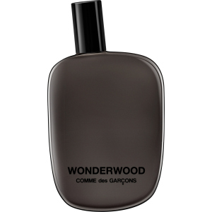 Тестер Парфюмированная вода унисекс Comme Des Garcons Wonderwood 100 мл (8411061707838) лучшая модель в Ужгороде