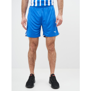 Спортивні шорти Mizuno High-Kyu Short V2EB700122 XL (5054698344958) в Ужгороді