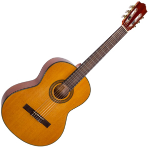 Гітара класична Alfabeto SAPELE CS39G + bag (17-2-40-3) ТОП в Ужгороді