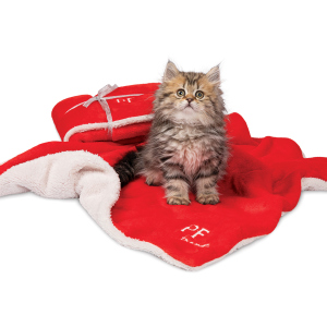 Плед для собак и кошек Pet Fashion New Year Gift 1 75х60 см Красный с белым (4823082419524)