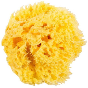 Натуральна морська губка Ok Baby Honeycomb Sea Sponge розмір 12 (38471200) в Ужгороді