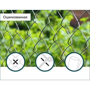 Сітка Рабиця оцинкована Сітка Захід 60х60/3,0мм 1,5м/10м в Ужгороді