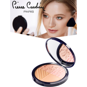 Рум'яна та хайлайтер для обличчя Pierre Cardin Selfie ready powder Портофіно 010 11 мл (8680570441131) краща модель в Ужгороді